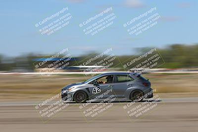 media/Oct-04-2025-OnGrid (Sat) [[44bd565ffa]]/Red Group/Grapevine/